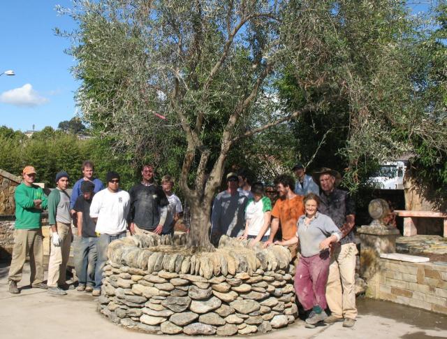 Newly built dry stone olive tree planter.